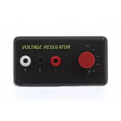 DS Racing Voltage Regulator Economic