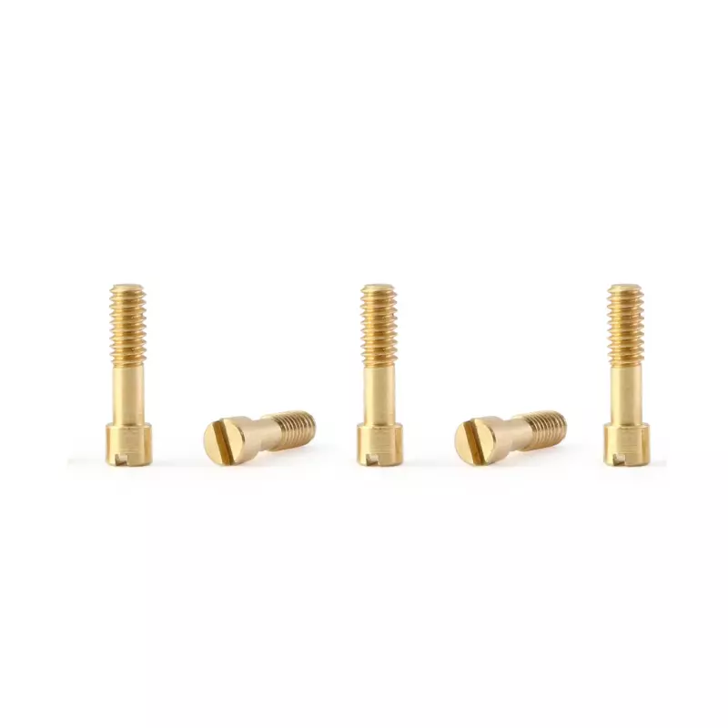  Policar PCH06 Metric screws M2x7mm brass x5