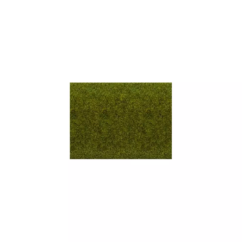 NOCH 00013 Meadow, 200 x 100 cm