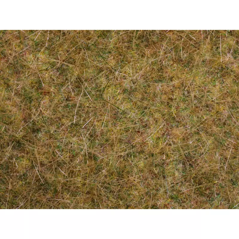 NOCH 00416 Meadow Mat Field, 12 mm
