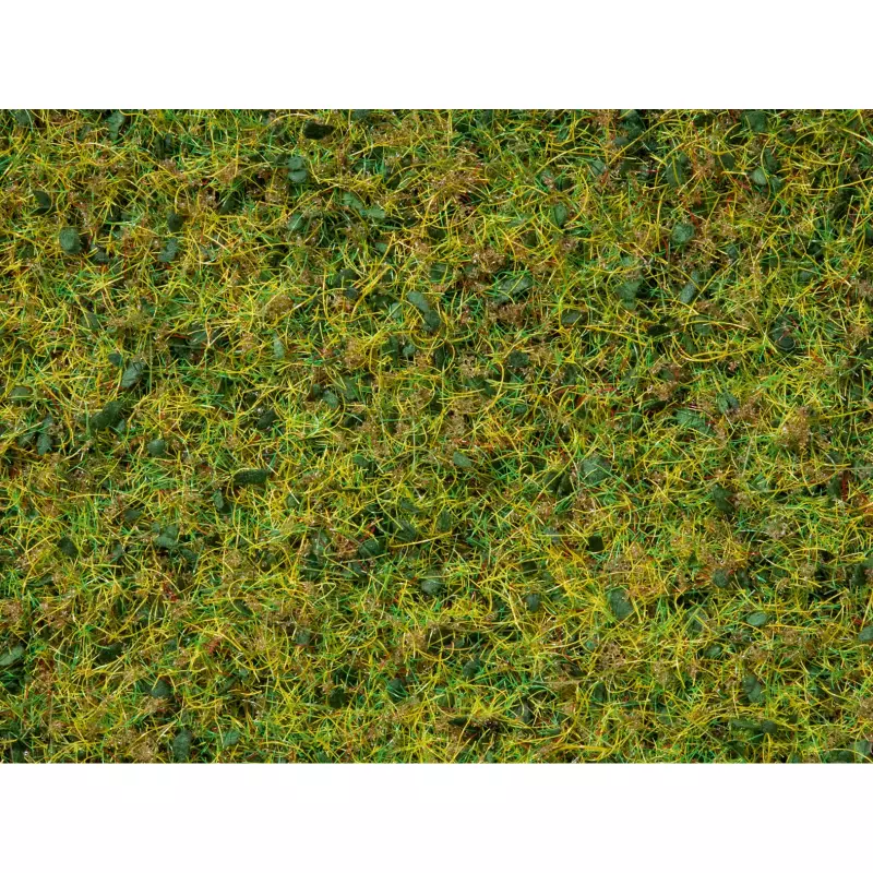 NOCH 07073 Master Grass Blend Cow Pasture, 2,5 - 6 mm