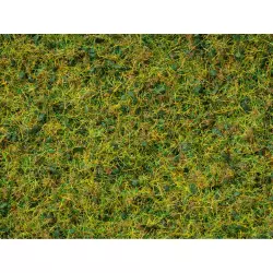 NOCH 07077 Master Grass Blend Cow Pasture, 2,5 - 6 mm