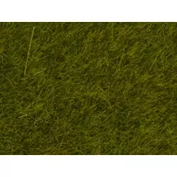 NOCH 07090 Wild Grass Meadow, 6 mm