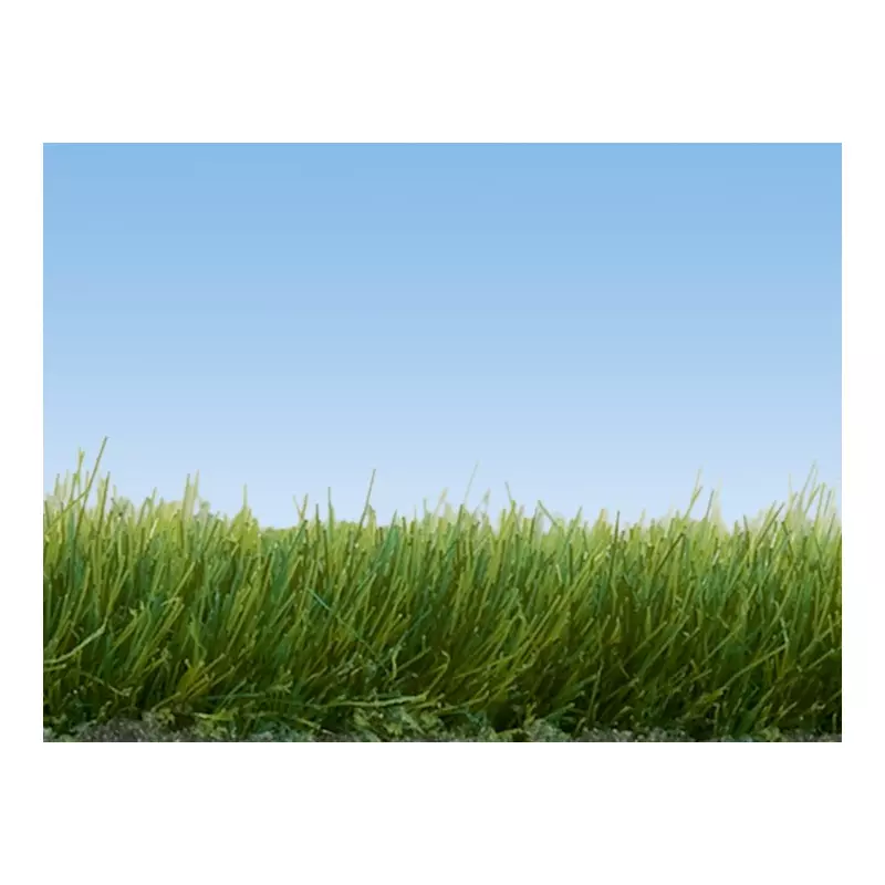 NOCH 07091 Wild Grass, beige, 6 mm 