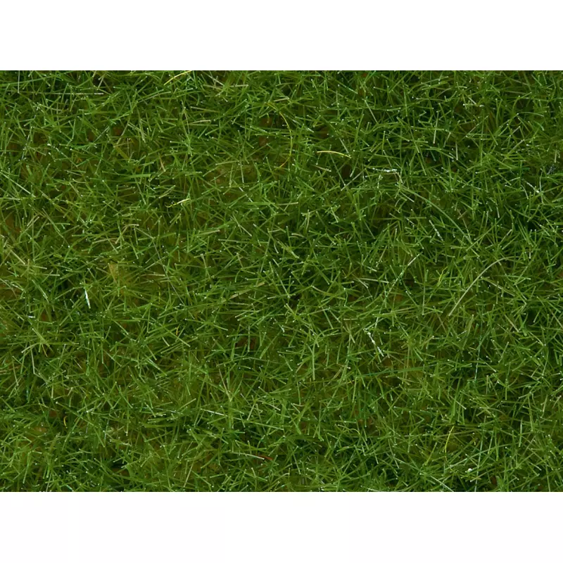 NOCH 07092 Herbes sauvages, vert clair, 6 mm