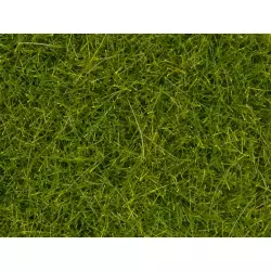 NOCH 7097 Herbes sauvages XL, vert clair, 12 mm