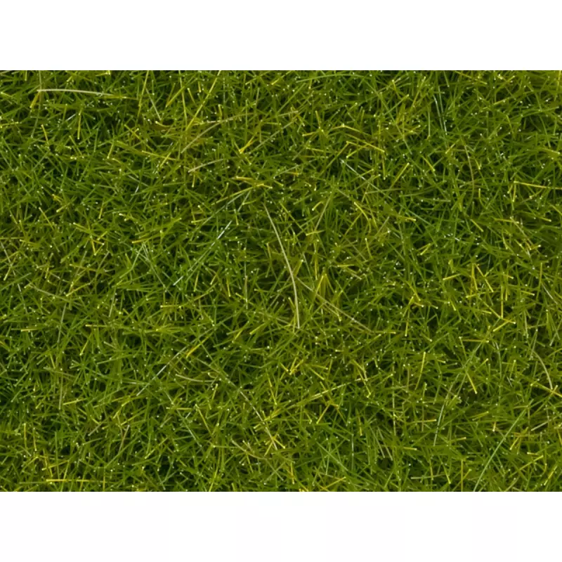 NOCH 7097 Herbes sauvages XL, vert clair, 12 mm