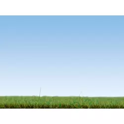 NOCH 08150 Scatter Grass Spring Meadow, 2,5 mm