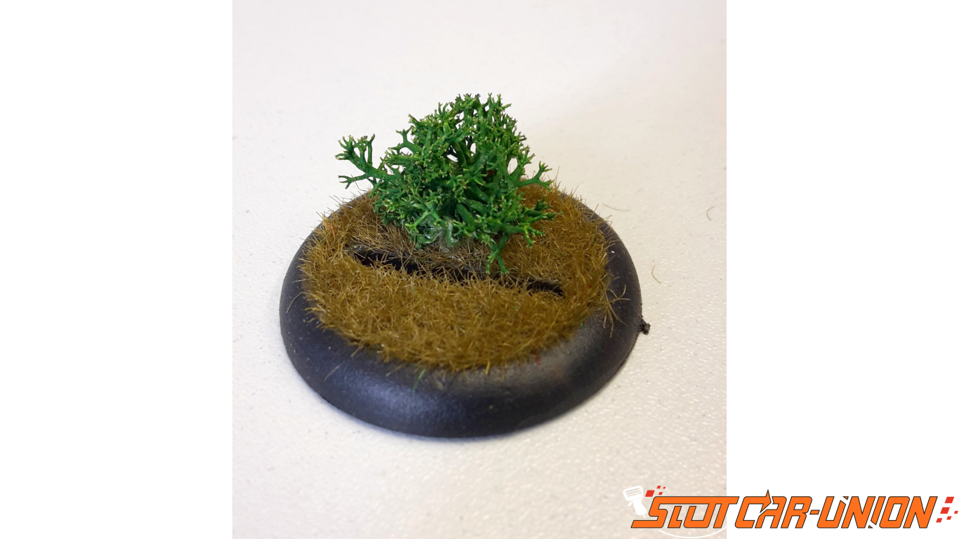 Encore 08100 Herbe-spritzdose
