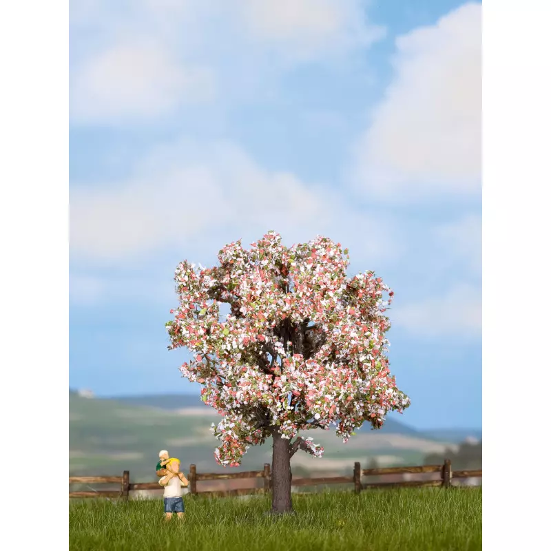 NOCH 21570 Fruit Tree, flowering