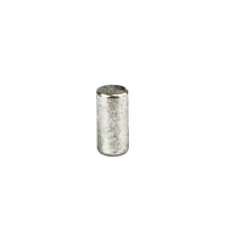  Ninco 80305 Aimants Cylindriques pour Karting 3x6mm x4