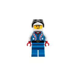 LEGO 31076 Daredevil Stunt Plane