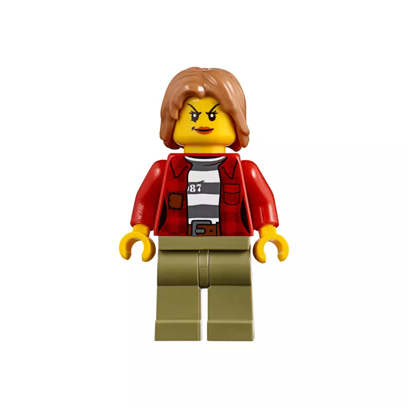 LEGO 60173 L'arrestation dans la montagne