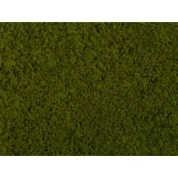 NOCH-07270 Foliage, vert clair