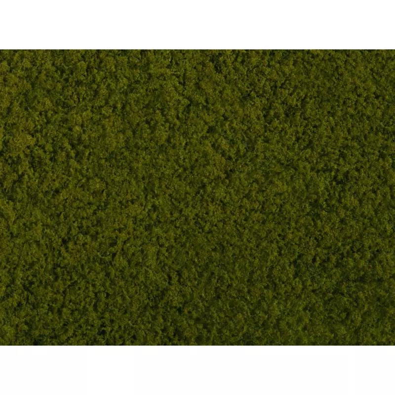 NOCH-07270 Foliage, vert clair