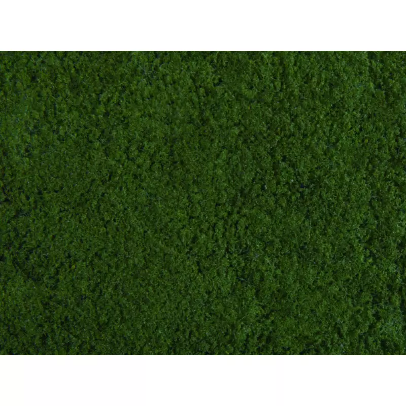 NOCH-07271 Foliage