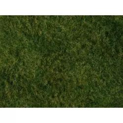 NOCH-07280 Foliage d’herbes sauvages, vert clair