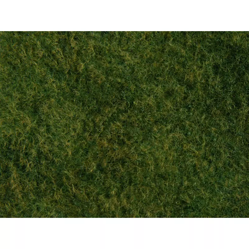  NOCH-07280 Foliage d’herbes sauvages, vert clair