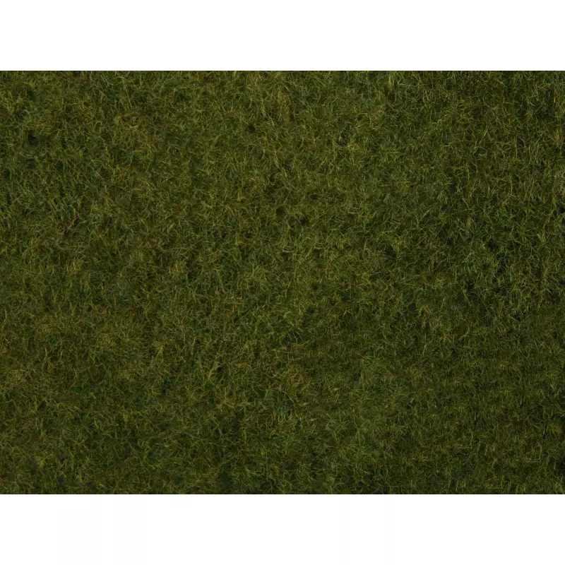  NOCH-07282 Wild Grass Foliage
