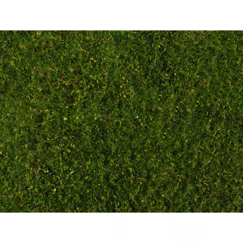  NOCH-07291 Foliage de pré, vert moyen