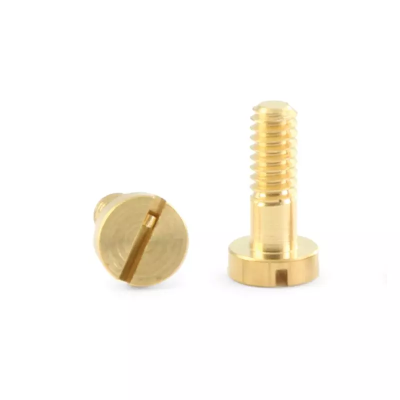  NSR 4839 Metric Body Screw M2.2 x 6,5mm partially threated x10