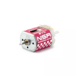 NSR 3041 SHARK 21.5 EVO 21900 rpm - 164 g.cm @ 12V