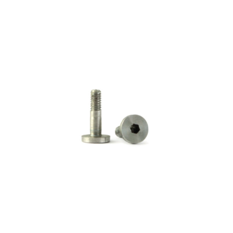                                     RevoSlot RS210S Guide Blade Screws (2 pcs)