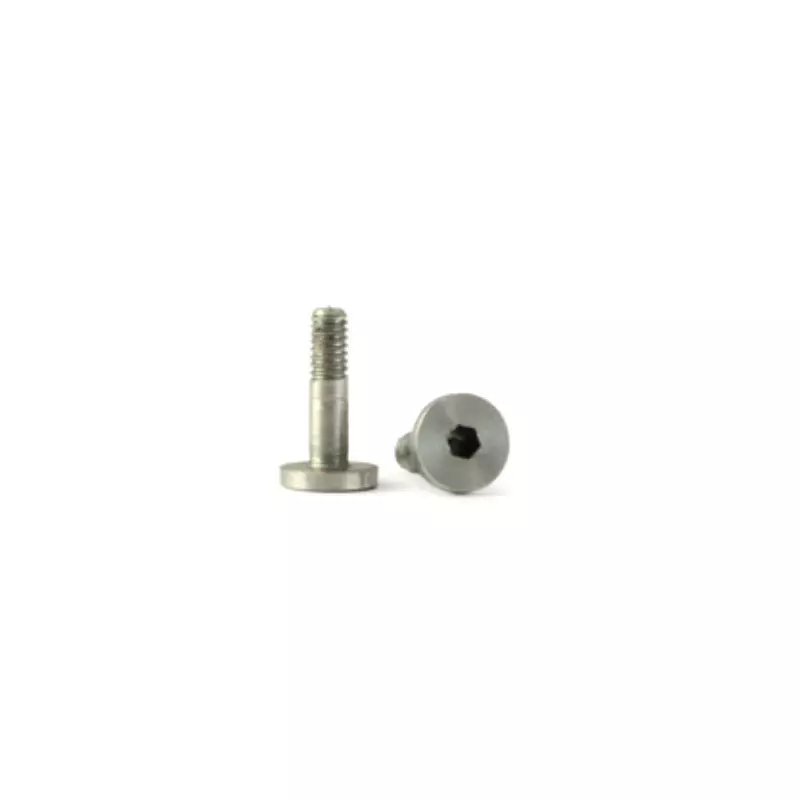 RevoSlot RS210S Guide Blade Screws (2 pcs)