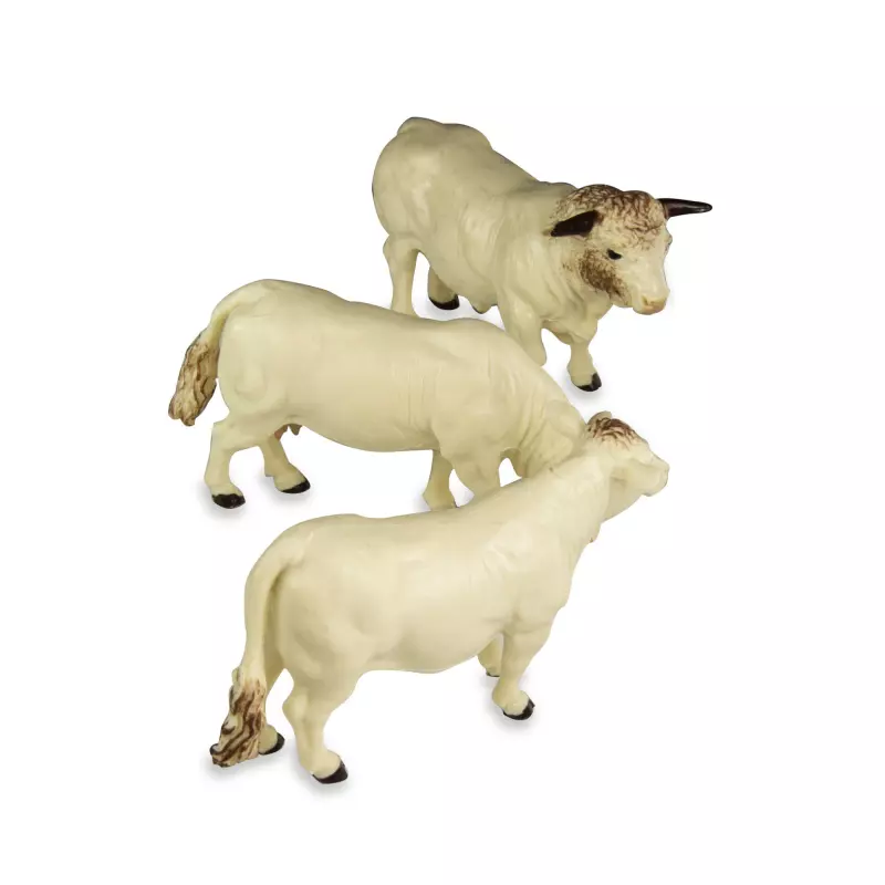 Britains 43240 Charolais Cows