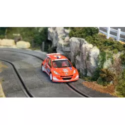 Avant Slot 50513 Peugeot 207 S2000 - B. Bouffier