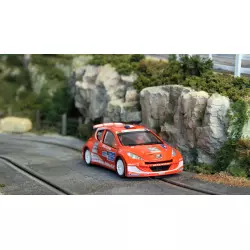 Avant Slot 50513 Peugeot 207 S2000 - B. Bouffier