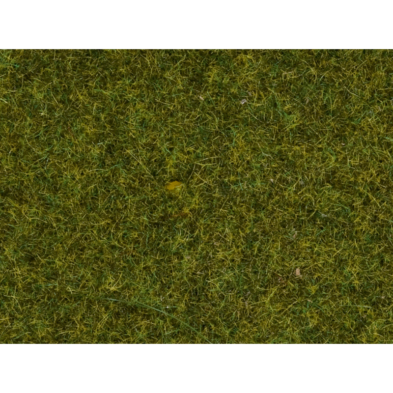                                    NOCH 08361 Scatter Grass " Meadow "