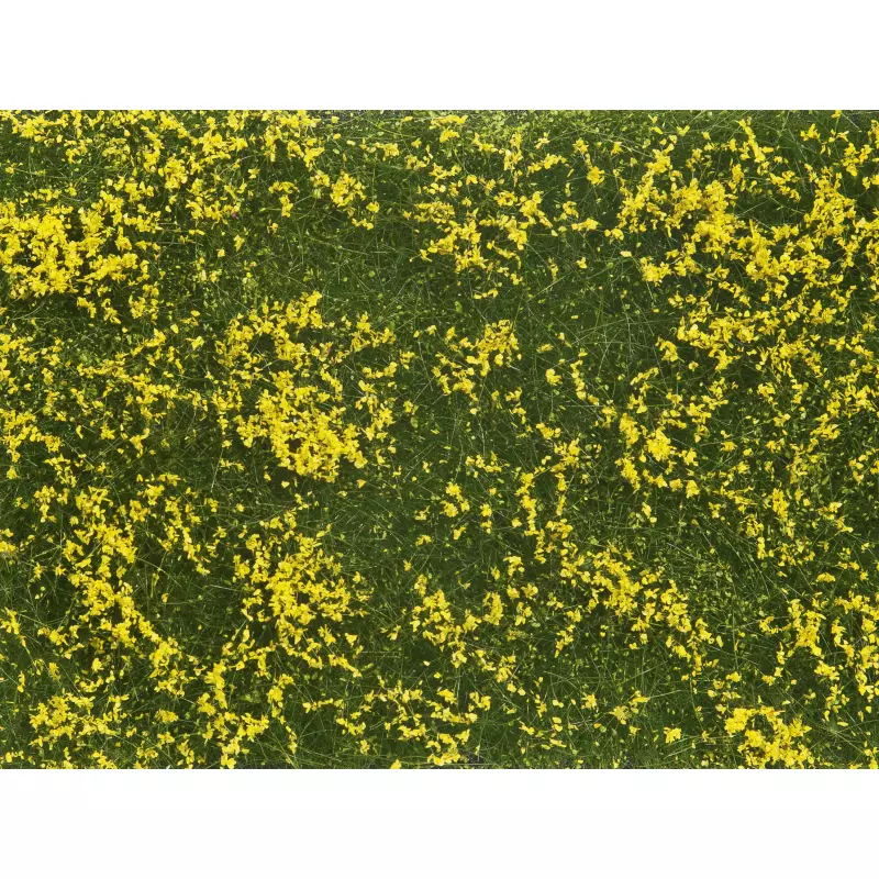  NOCH-07250 Groundcover Foliage, medium green