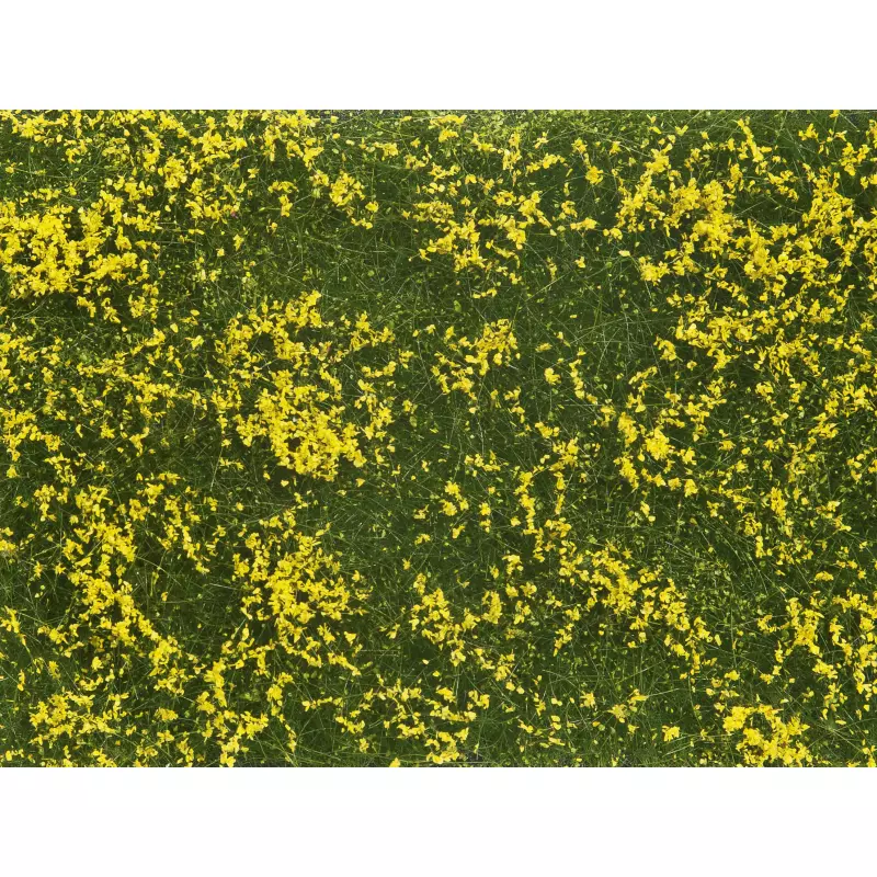 NOCH-07250 Groundcover Foliage, medium green