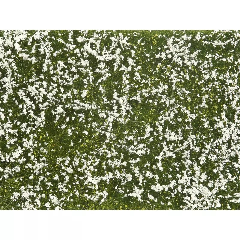  NOCH-07250 Groundcover Foliage, medium green