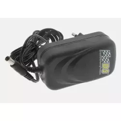 DS Racing Power Adapter 12 Volts DC 3 A.