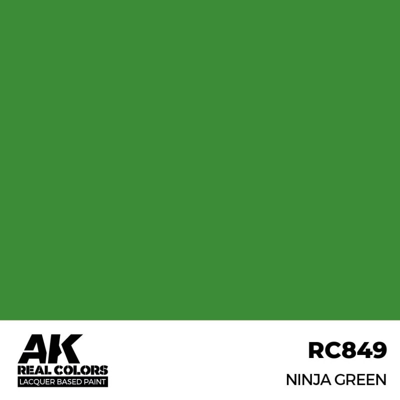 AK Interactive Ninja Green...