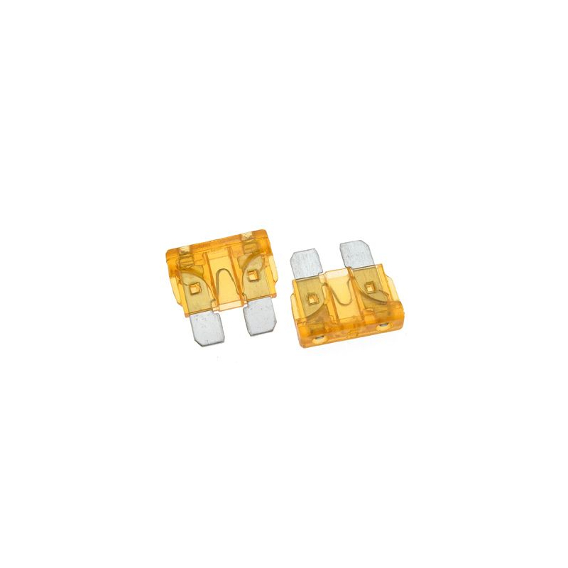                                     DS Racing WiTEC Controller Fuses