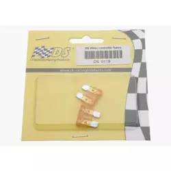 DS Racing WiTEC Controller Fuses