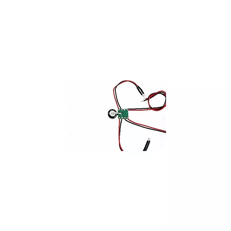 DS Racing Universal Lighting Kit with Permanent Front and Rear Lights