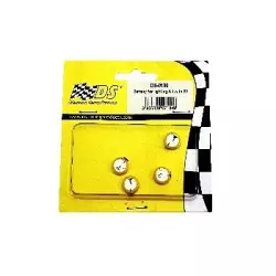DS Racing Batterie pour Kit d'Eclairage DS-0125