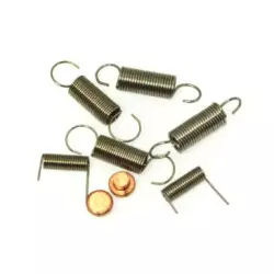 DS Racing Springs Set + Carbon Brush + Handle Screws