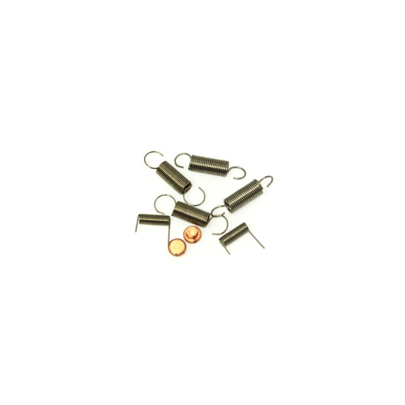                                     DS Racing Set de Ressorts + Brosse Carbone + Vis Poignée