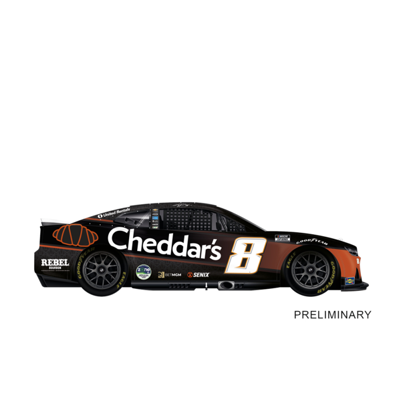 Carrera EVOLUTION NASCAR...