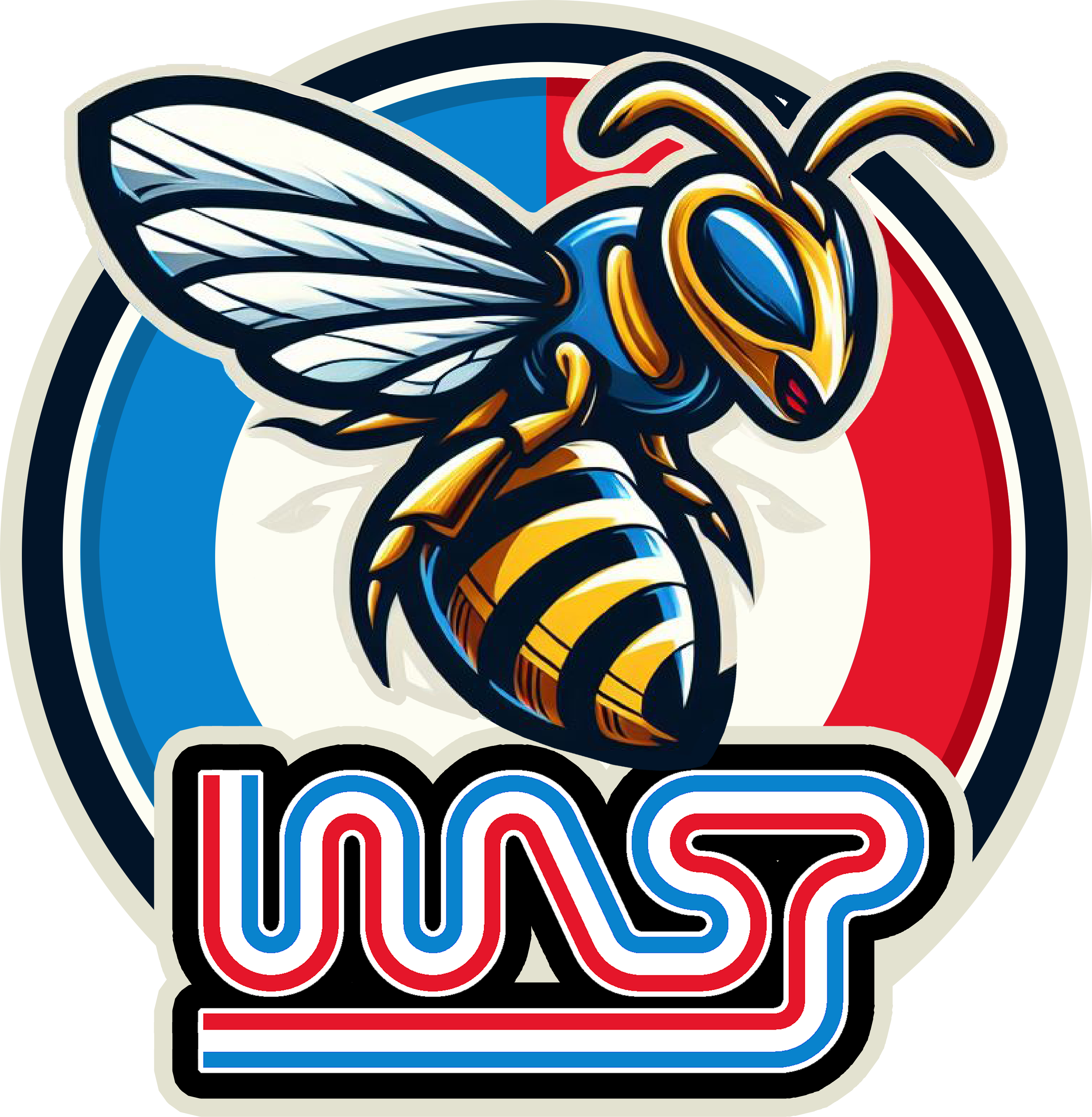 WASP